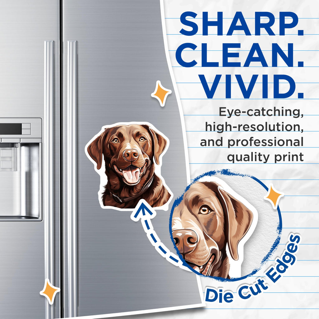 (2 Pack) Chocolate Lab Magnets - Labrador Retriever Art - Dog Mom Decor - 5 Inches On Longest Side - Thick Durable Magnet - Made in USA - MAG25317