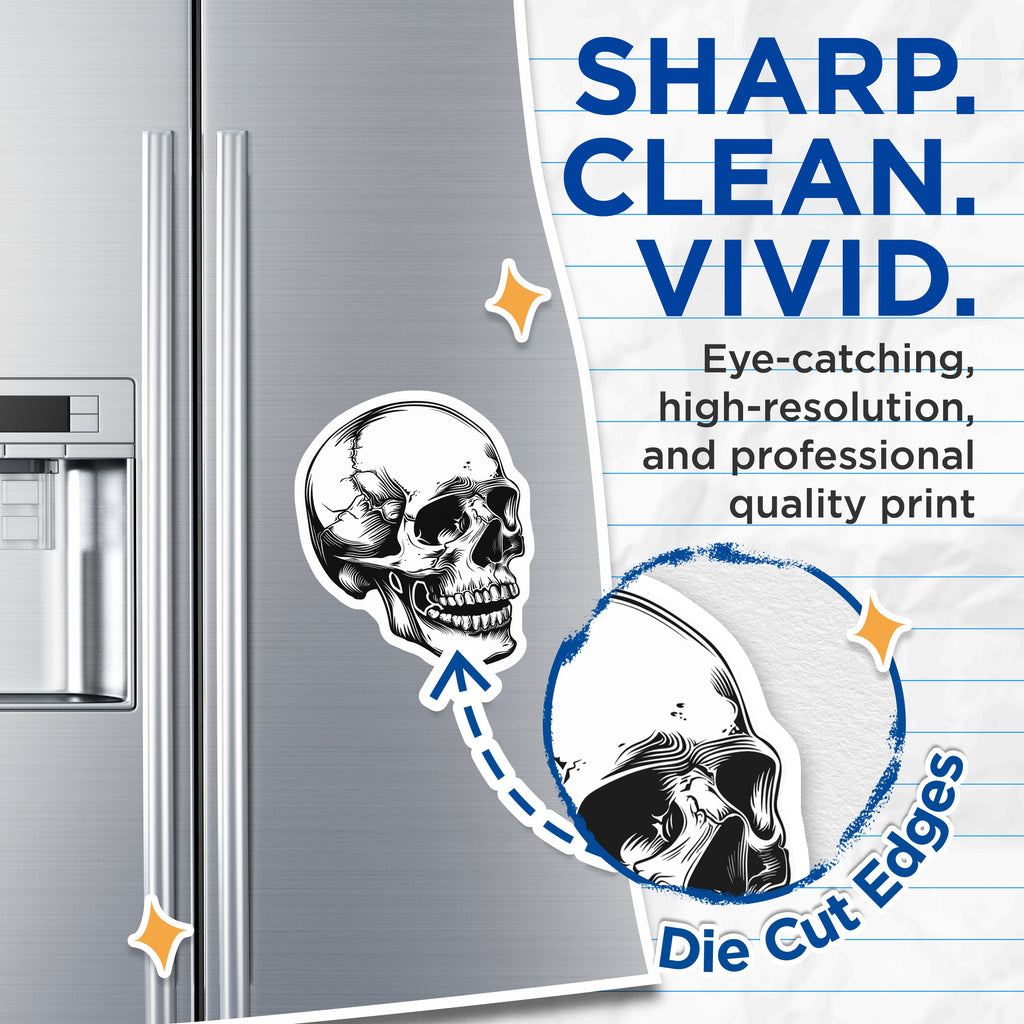 (2 Pack) Skull Magnets - Gothic Decor - Edgy Tattoo Art - Halloween Fridge Magnets - Alternative Home Decor - Macabre Anatomy Skull - 5" - Durable Magnet - Made in USA - MAG37075