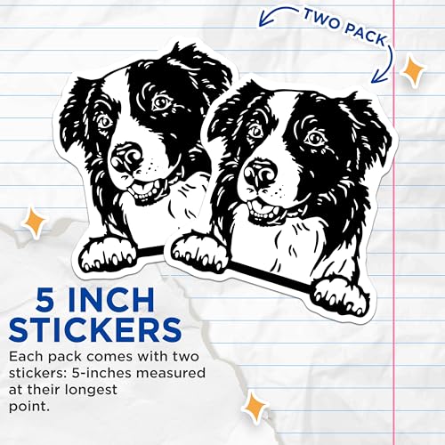 (2 Pack) Border Collie Dog Stickers - Cute Pet Lover Decal - Animal Art Decor - 5" On Longest Side - Sticks to Smooth Flat Surfaces - Made in USA - BMCS4046