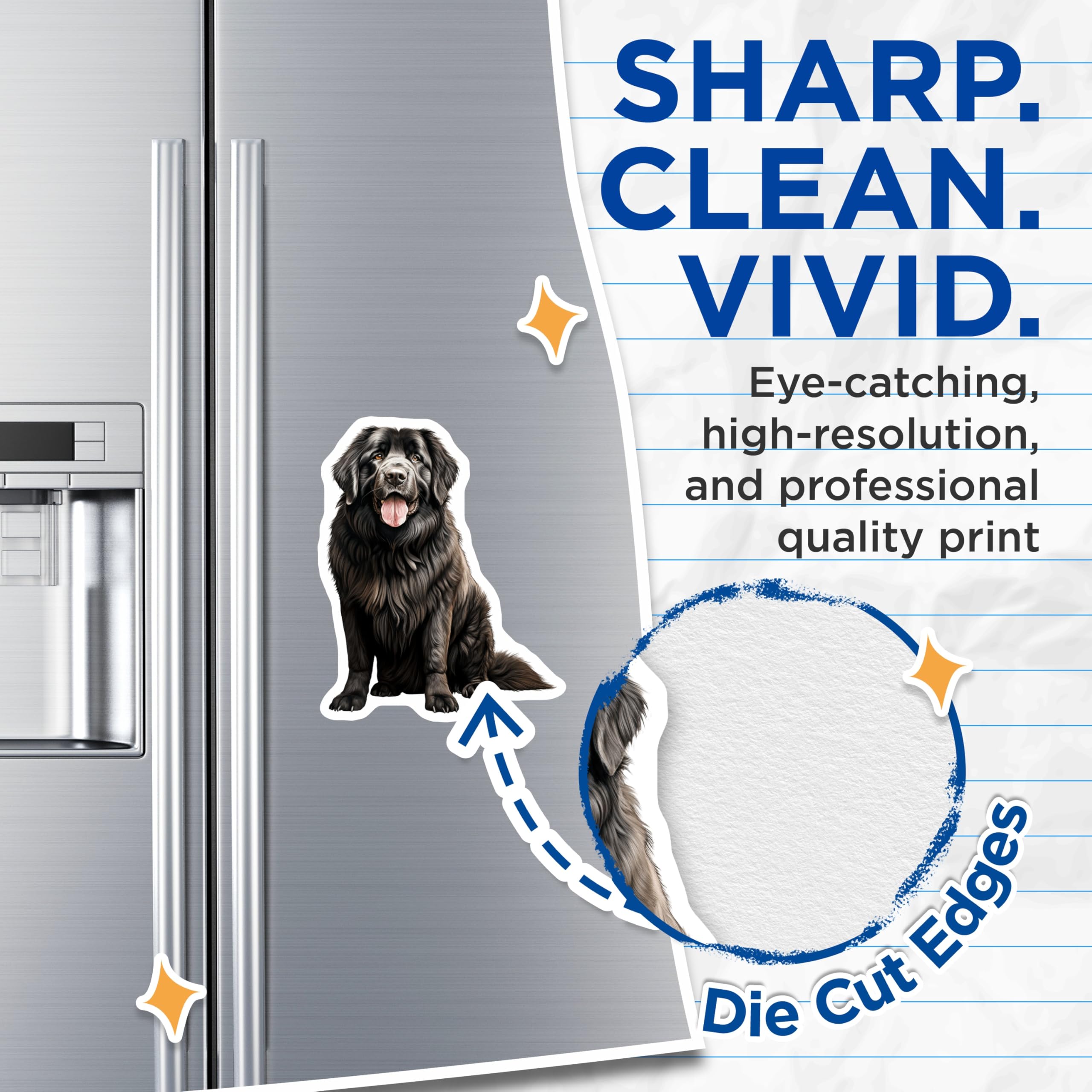 (2 Pack) Newfoundland Dog Magnets - Newfie Breed Decor - Pet Lover Accessory - 5 Inches On Longest Side - Thick Durable Magnet - Made in USA - MAG28979