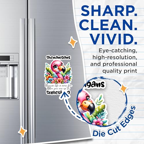 (2 Pack) Sheigans Magnets - Flamingo Fun Magnets - Colorful Animal Magnets - Life is Fun Quote Magnets- 5" On Longest Side - for Fridges, Toolboxes, Cars - Made in USA - MAG2938