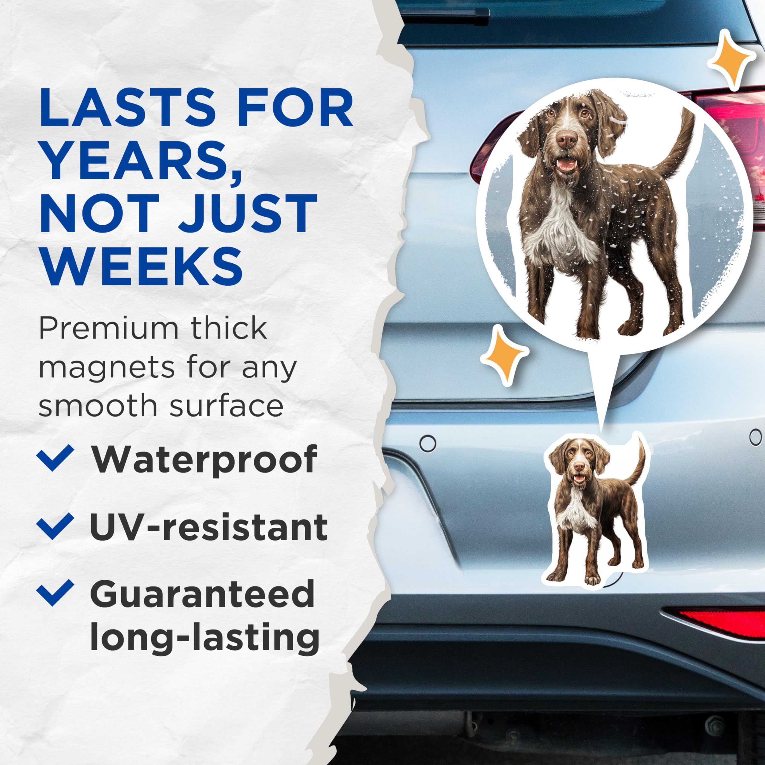 (2 Pack) German Wirehaired Pointer Magnets - Sporting Dog Home Decor - Pet Parent Kennel Art - 5 Inches On Longest Side - Thick Durable Magnet - Made in USA - MAG26727