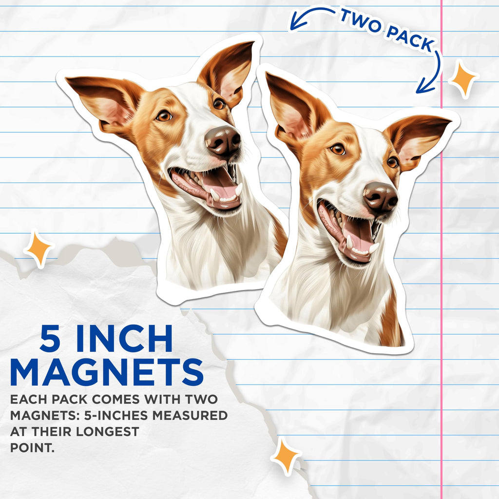 (2 Pack) Ibizan Hound Magnets - Happy Podenco Dog Art - Pet Lover Refrigerator Decor - 5 Inches On Longest Side - Thick Durable Magnet - Made in USA - MAG23989