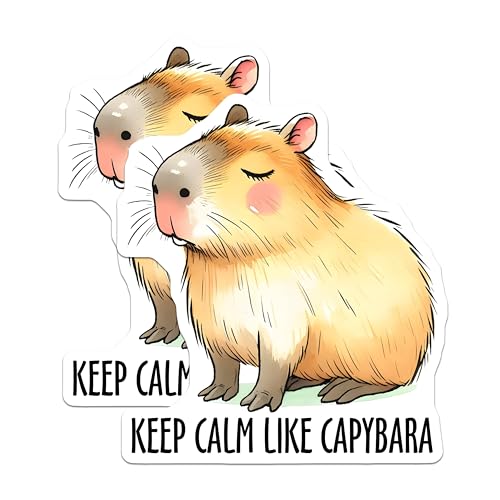 (2 Pack) Keep Calm Like Capybara Stickers - Cute Animal Stickers - Positive Quote Stickers - 5" On Longest Side - Sticks to Any Smooth Flat Surface - Made in USA - BMCS3259