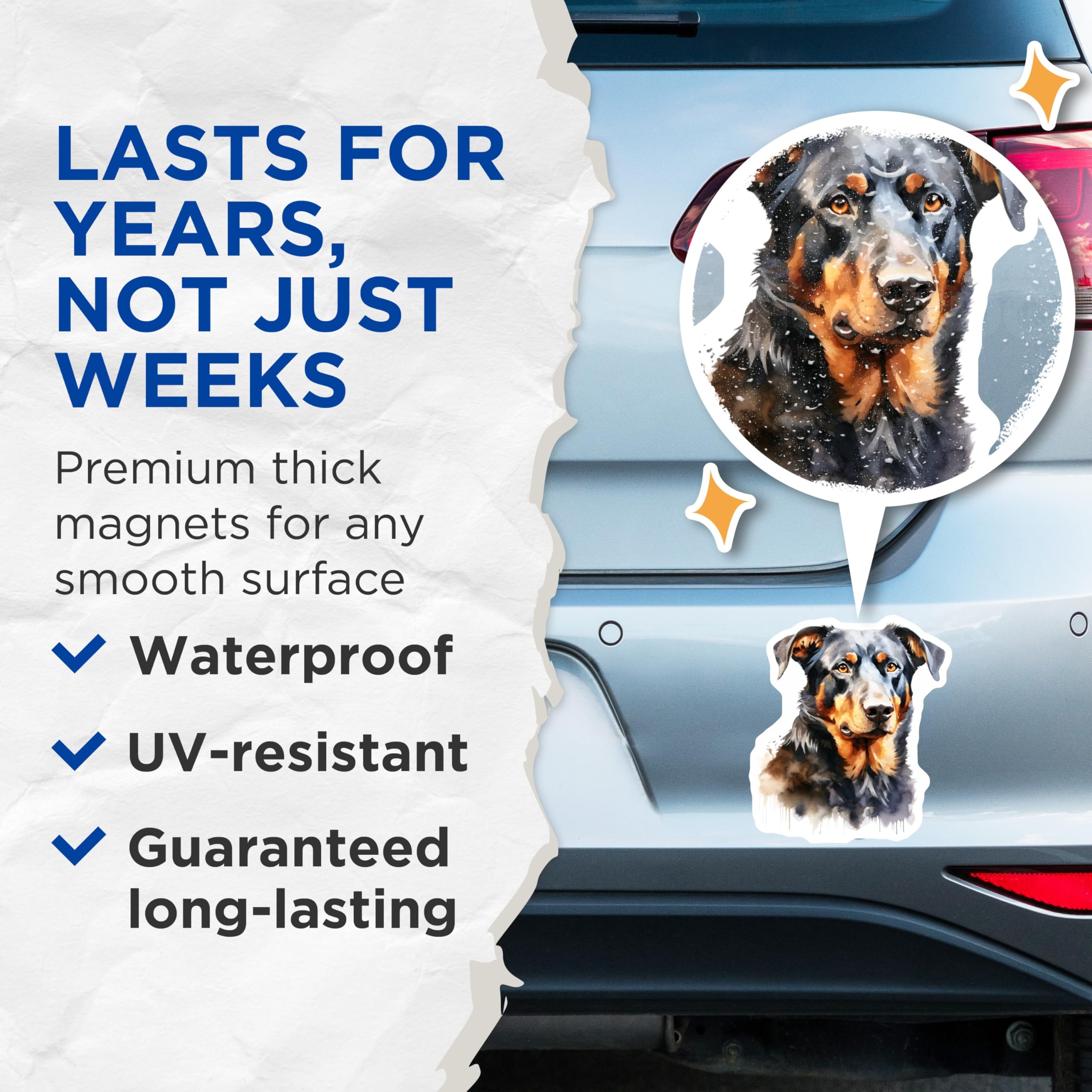(2 Pack) Beauceron Dog Magnets - Watercolor Pet Art - Dog Lover Home Decor - 5 Inches On Longest Side - Thick Durable Magnet - Made in USA - MAG26113