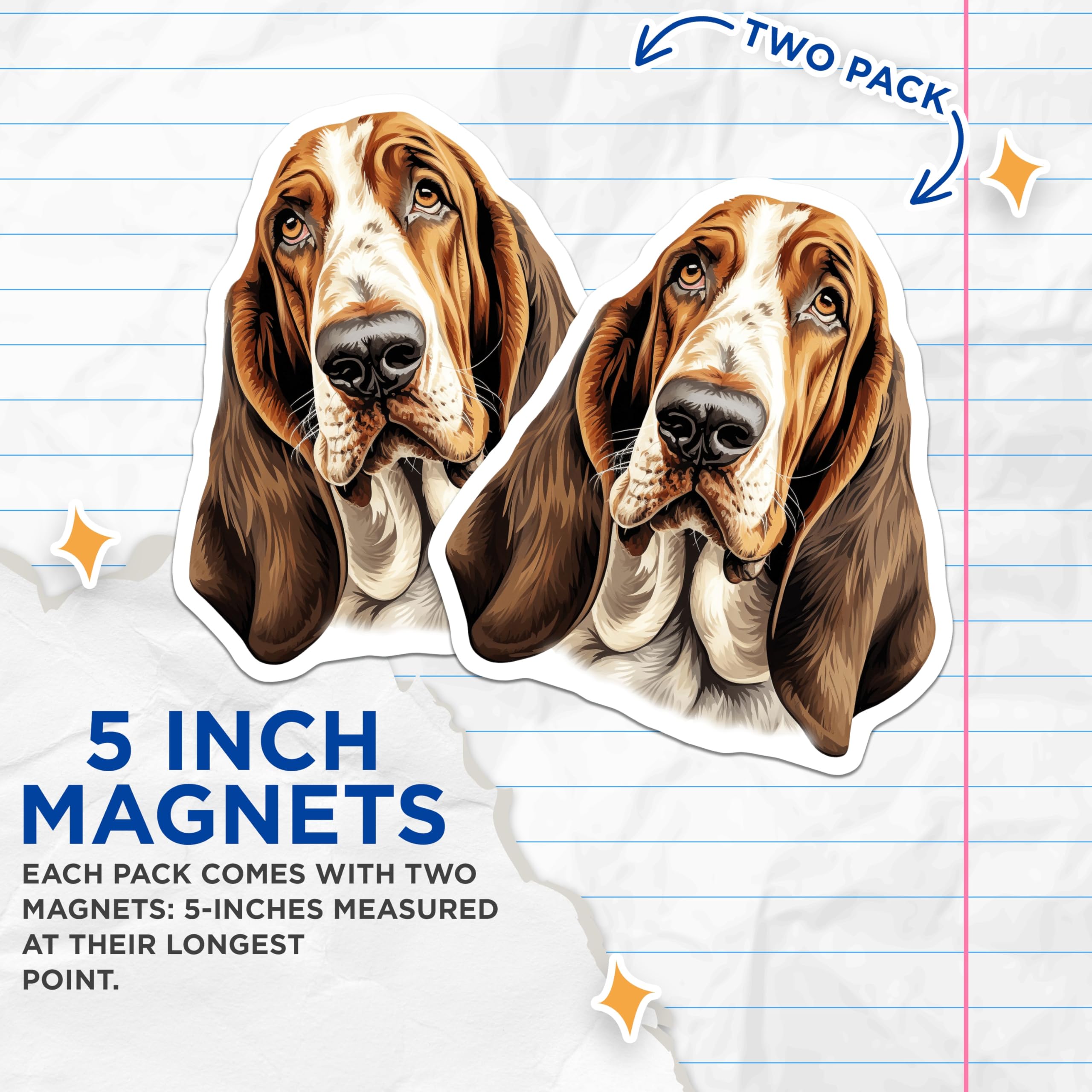 (2 Pack) Basset Hound Magnets - Dog Lover Decor - Pet Breed Accessories - Cute Animal Art for Fridge - 5 Inches On Longest Side - Thick Durable Magnet - Made in USA - MAG25744