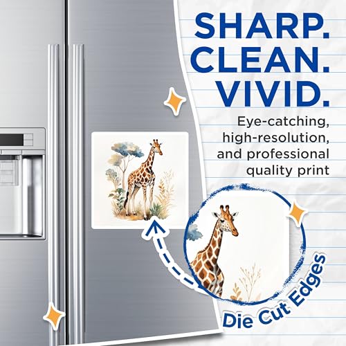 (2 Pack) Giraffe Safari Adventure Magnets Magnets - 5" On Longest Side - Made in USA - Sticks to Refrigerators & Metal Surfaces - MAG8688