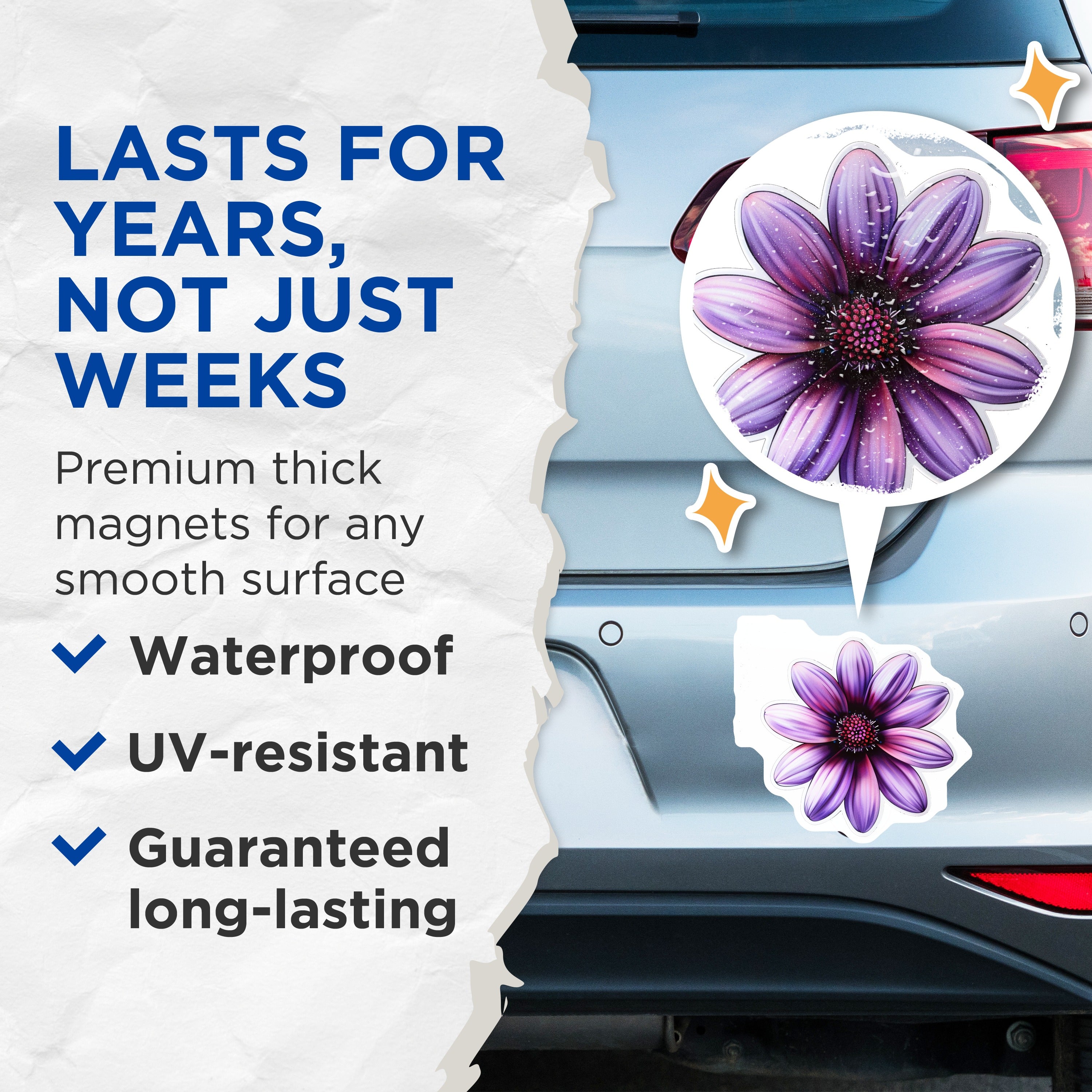 (2 Pack) Purple Daisy Magnets - Vibrant Botanical Refrigerator Decor - Aesthetic Home Office Locker Organizer Accessory - 5 Inches On Longest Side - Thick Durable Magnet - Made in USA - MAG38182