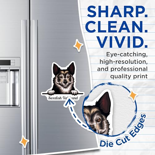 (2 Pack) Swedish Vallhund Magnets - Dog Lover Magnet - Pet Owner Car Magnets - 5" On Longest Side - for Cars, Fridges, Toolboxes - Made in USA - MAG4223