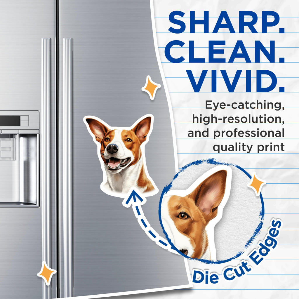 (2 Pack) Basenji Dog Magnets - Pet Lover Refrigerator Decor - Canine Car Accessories - Animal Art Illustration - 5 Inches On Longest Side - Thick Durable Magnet - Made in USA - MAG28799