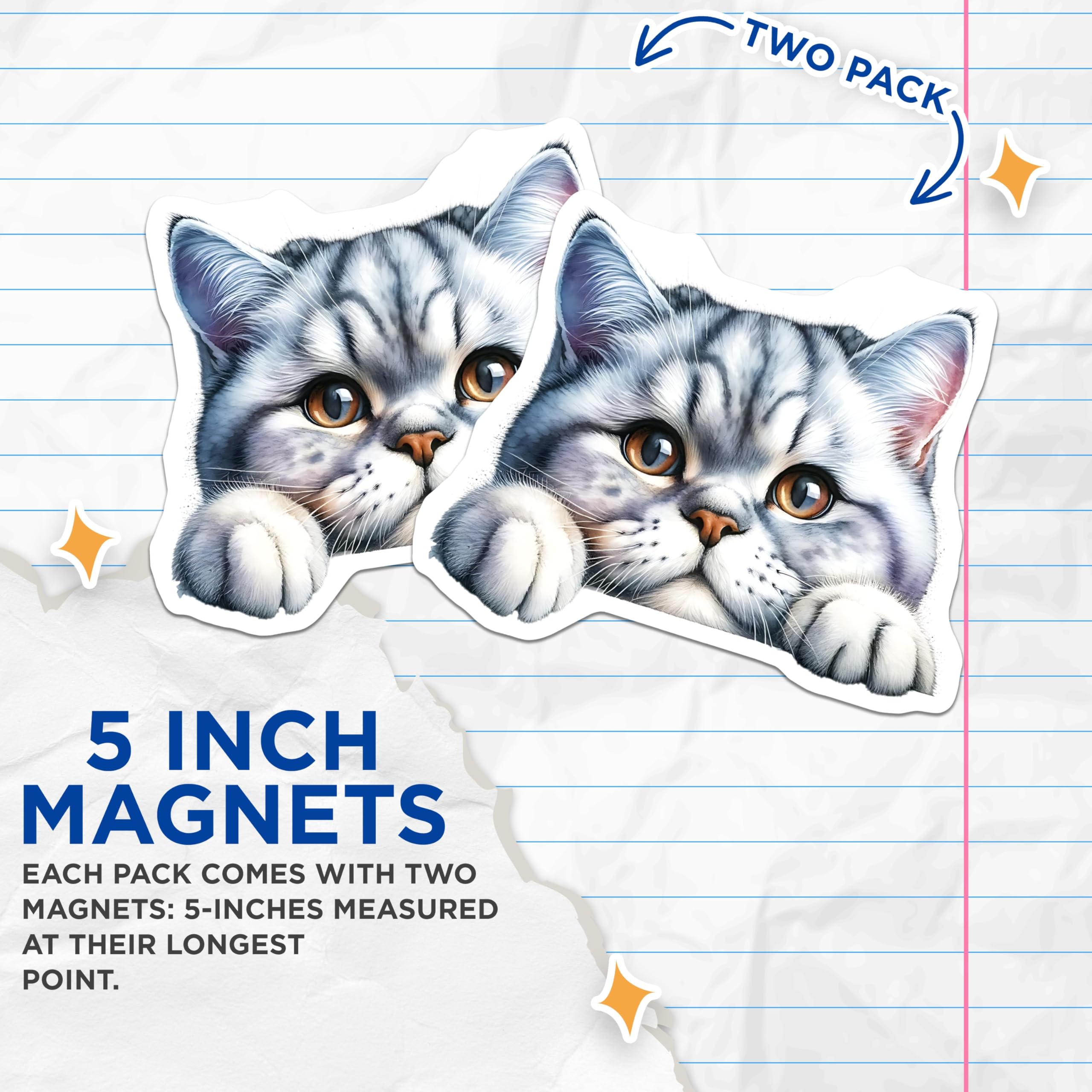 (2 Pack) Tabby Cat Magnets - Silver Tabby Kitten - Refrigerator Decor for Cat Lovers - 5" On Longest Side - Premium Magnet - for Cars, Refrigerators, Toolboxes, Lockers - Made in USA - MAG14537