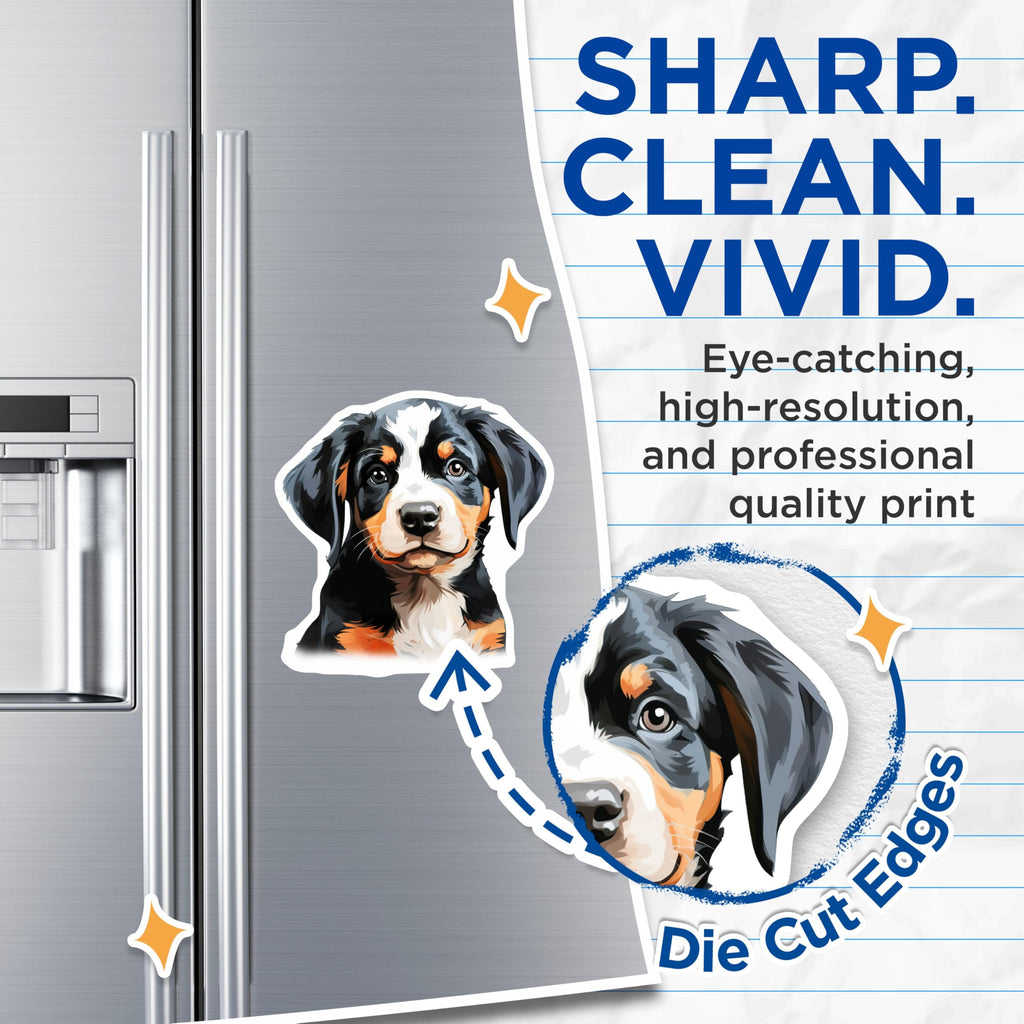 (2 Pack) Greater Swiss Mountain Dog Magnets - Cute Swissy Puppy Art - Dog Owner Home Decor - 5 Inches On Longest Side - Thick Durable Magnet - Made in USA - MAG27446