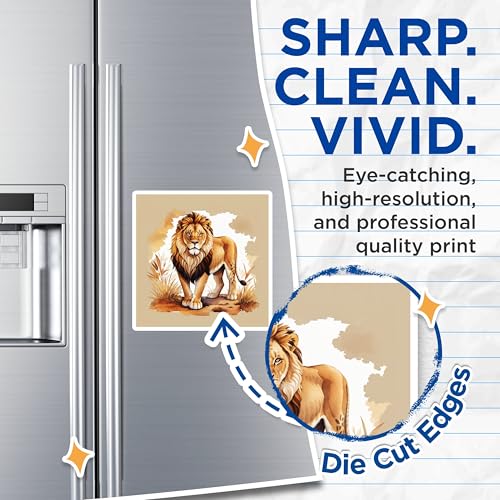 (2 Pack) Lion Magnets Magnets - 5" On Longest Side - Made in USA - Sticks to Refrigerators & Metal Surfaces - MAG8699