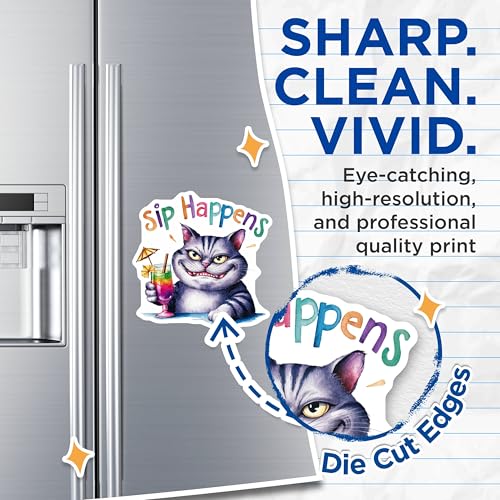 (2 Pack) Sip Happens Magnets Magnets - Funny Cat Magnet - Party Theme Magnet Decorations for Fridge and Office - 5" On Longest Side - Made in USA - Sticks to Refrigerators & Metal Surfaces - MAG8555