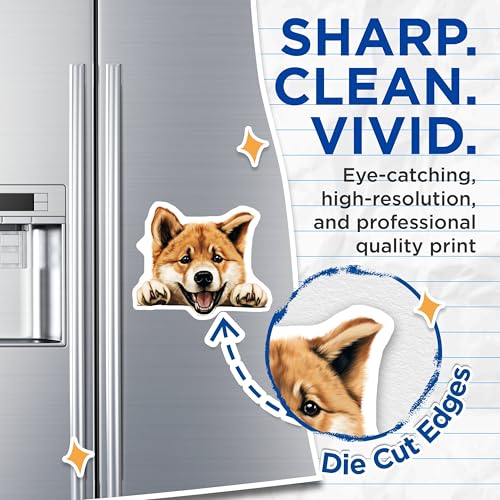 (2 Pack) Dog Lover Decor Magnet - 5" On Longest Side - Sticks to Smooth Flat Surfaces - Made in USA - MAG9818