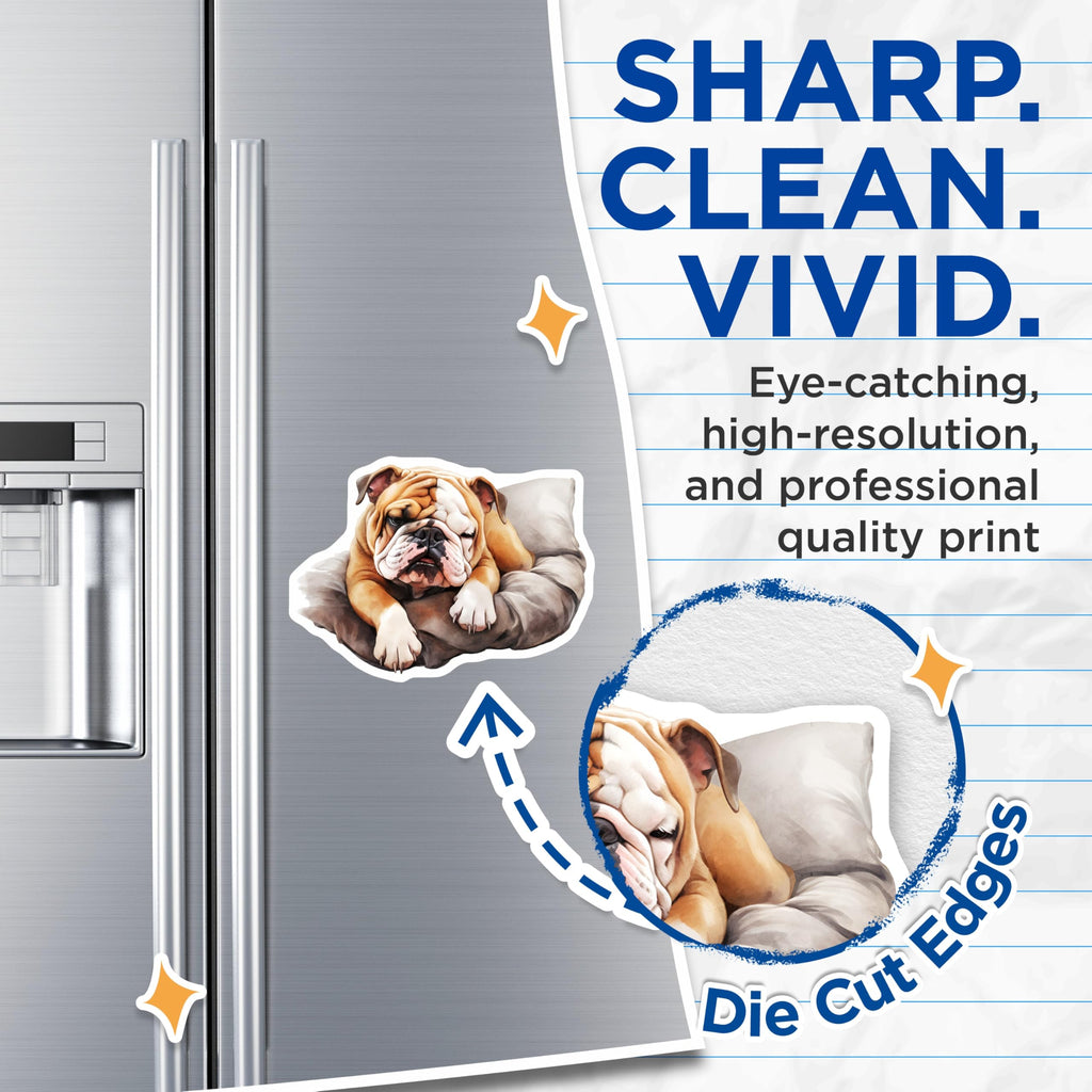 (2 Pack) Bulldog Magnets - Resting Dog Breed - Home Decor Fridge Magnets - 5" On Longest Side - Premium Magnet - for Cars, Refrigerators, Toolboxes, Lockers - Made in USA - MAG16503
