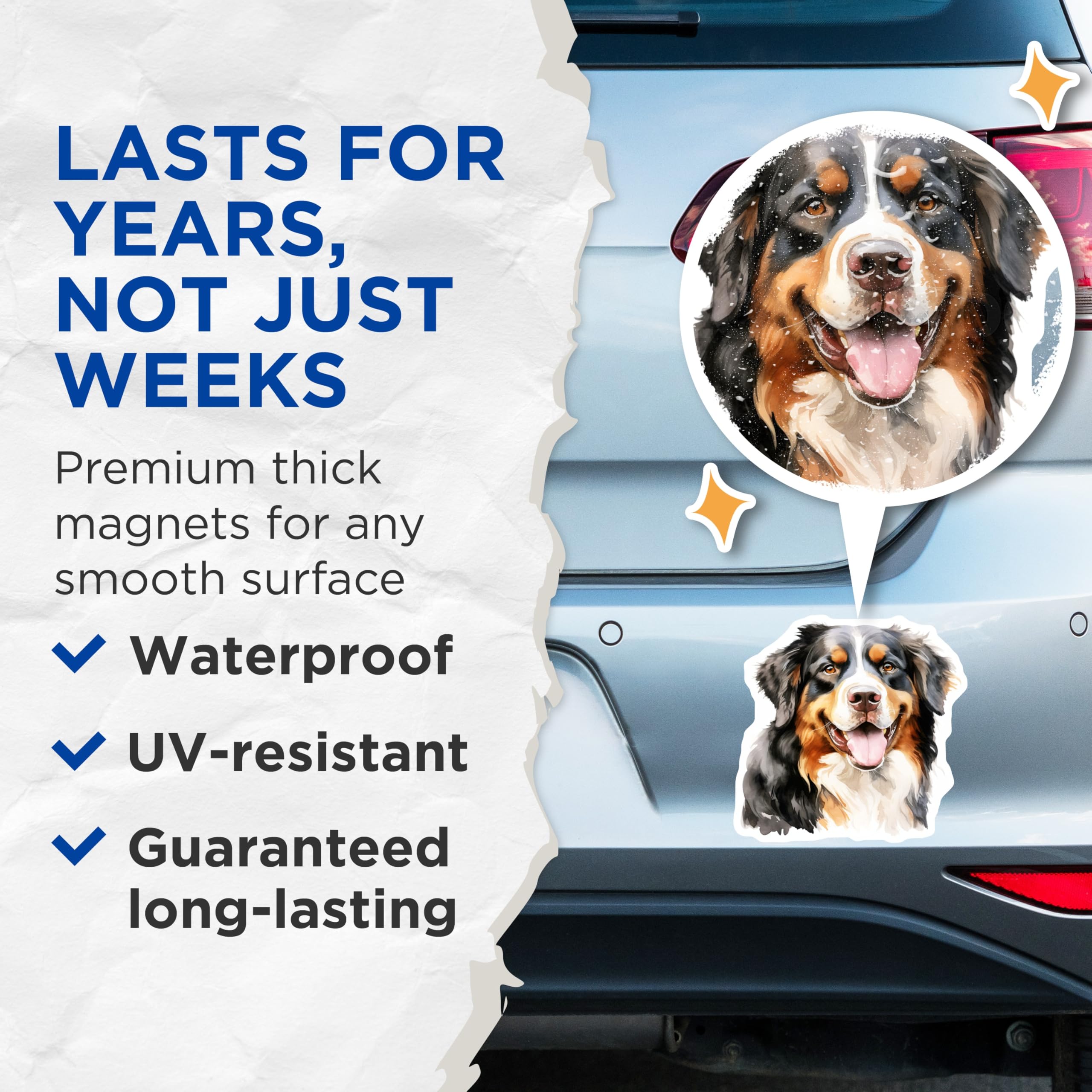 (2 Pack) Bernese Mountain Dog Magnets - Watercolor Dog Art - Happy Bernese Home Decor - Pet Lover Fridge Display - 5 Inches On Longest Side - Thick Durable Magnet - Made in USA - MAG26865