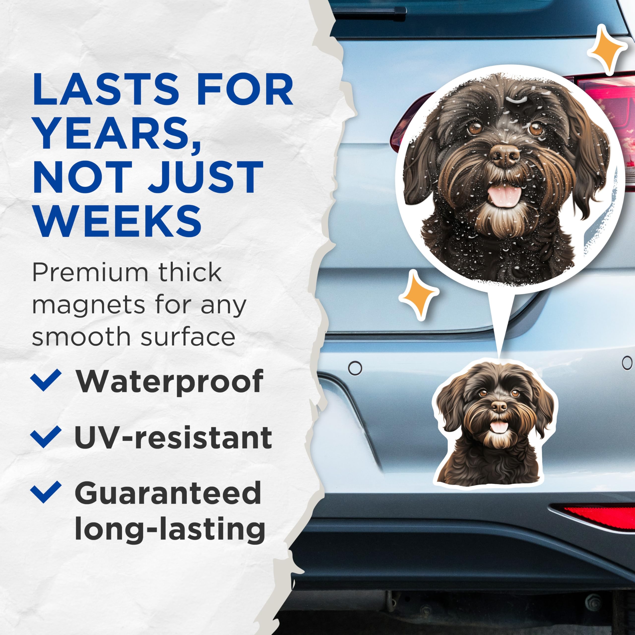 (2 Pack) Havanese Dog Magnets - Adorable Fluffy Puppy - Pet Parent Refrigerator Decor - 5 Inches On Longest Side - Thick Durable Magnet - Made in USA - MAG26300