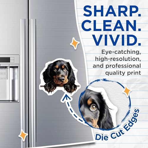 (2 Pack) Cute Dog Decor Magnet - 5" On Longest Side - Sticks to Smooth Flat Surfaces - Made in USA - MAG10183