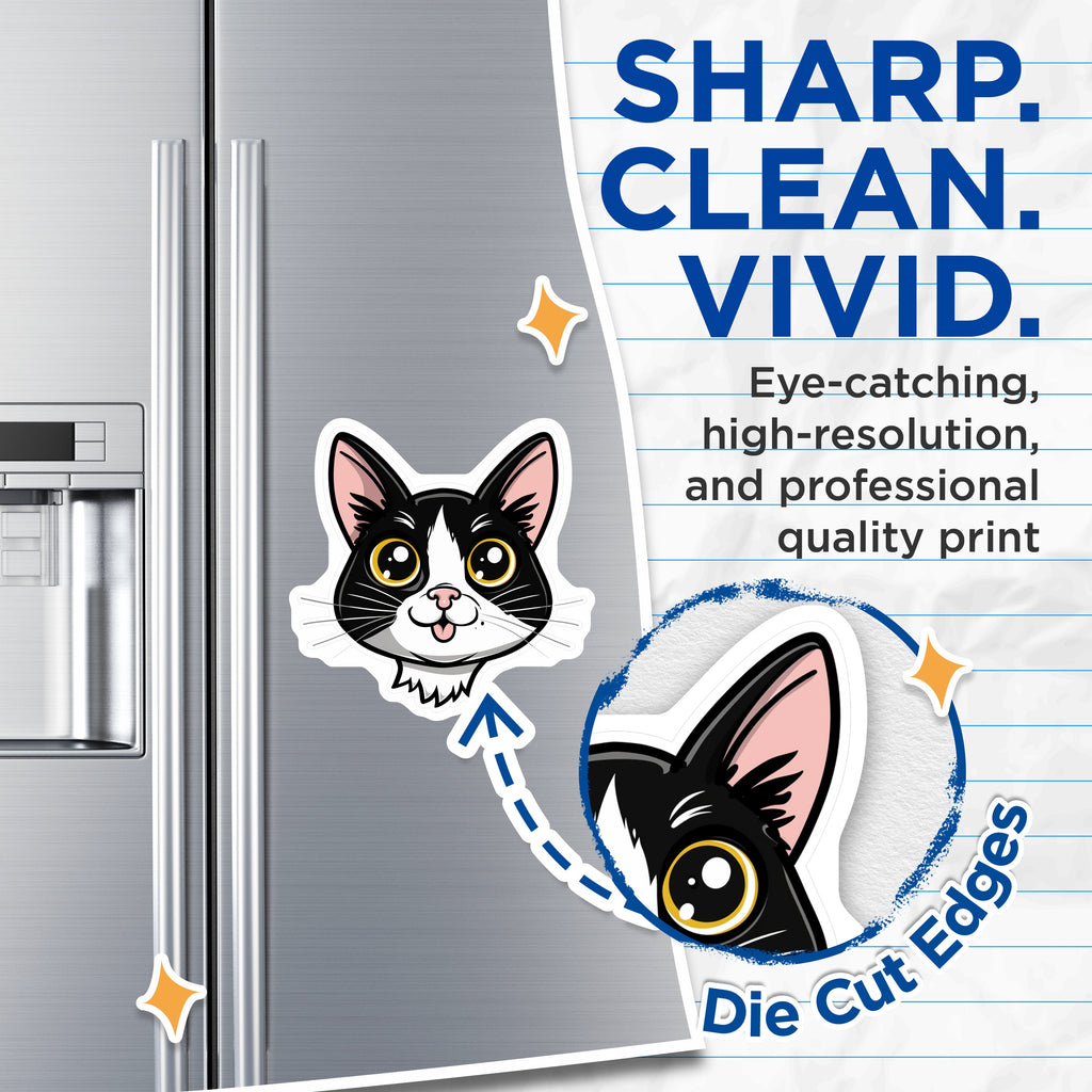 (2 Pack) Cute Cat Magnets - Black White Kitten Face - Kawaii Pet Lover Decor - 5 Inches On Longest Side - Thick Durable Magnet - Made in USA - MAG39308