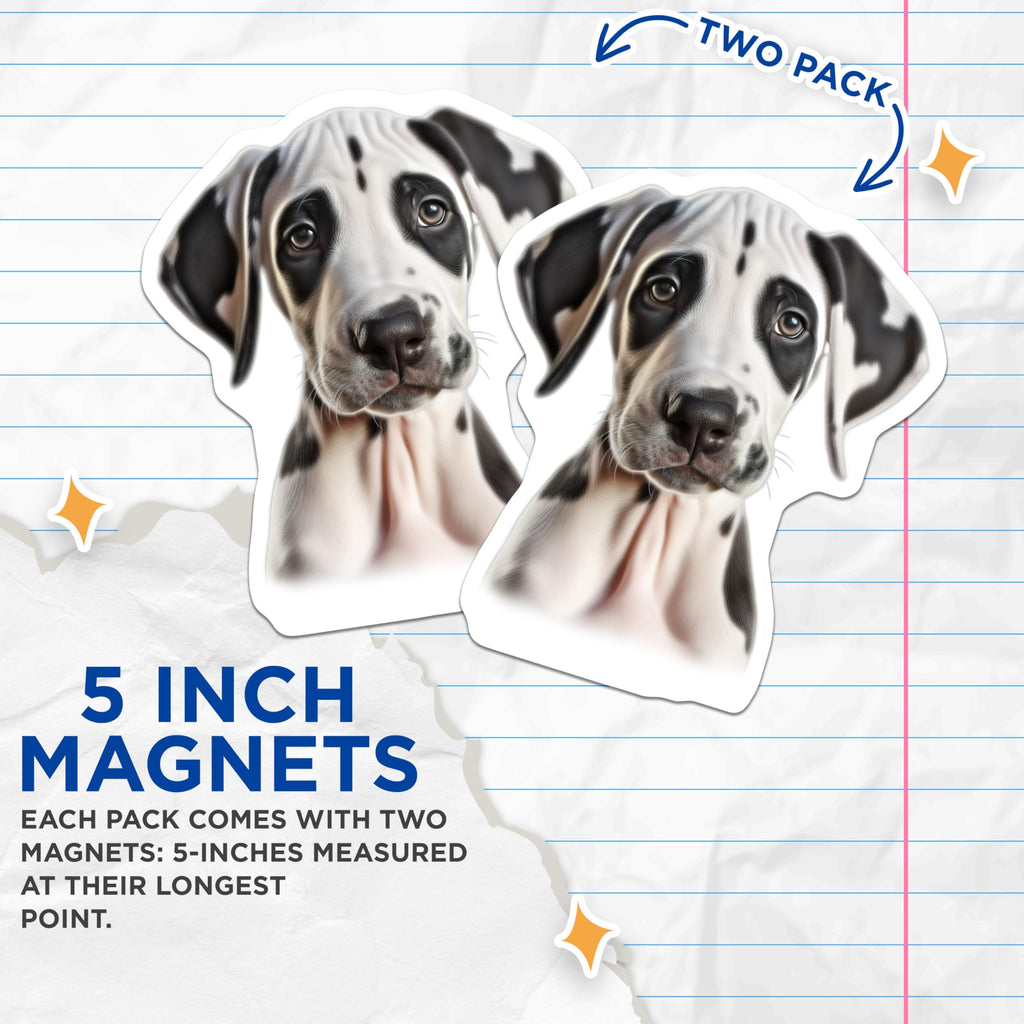 (2 Pack) Great Dane Puppy Magnets - Cute Dog Lover Decor - Pet Parent Refrigerator Accent - 5 Inches On Longest Side - Thick Durable Magnet - Made in USA - MAG28665