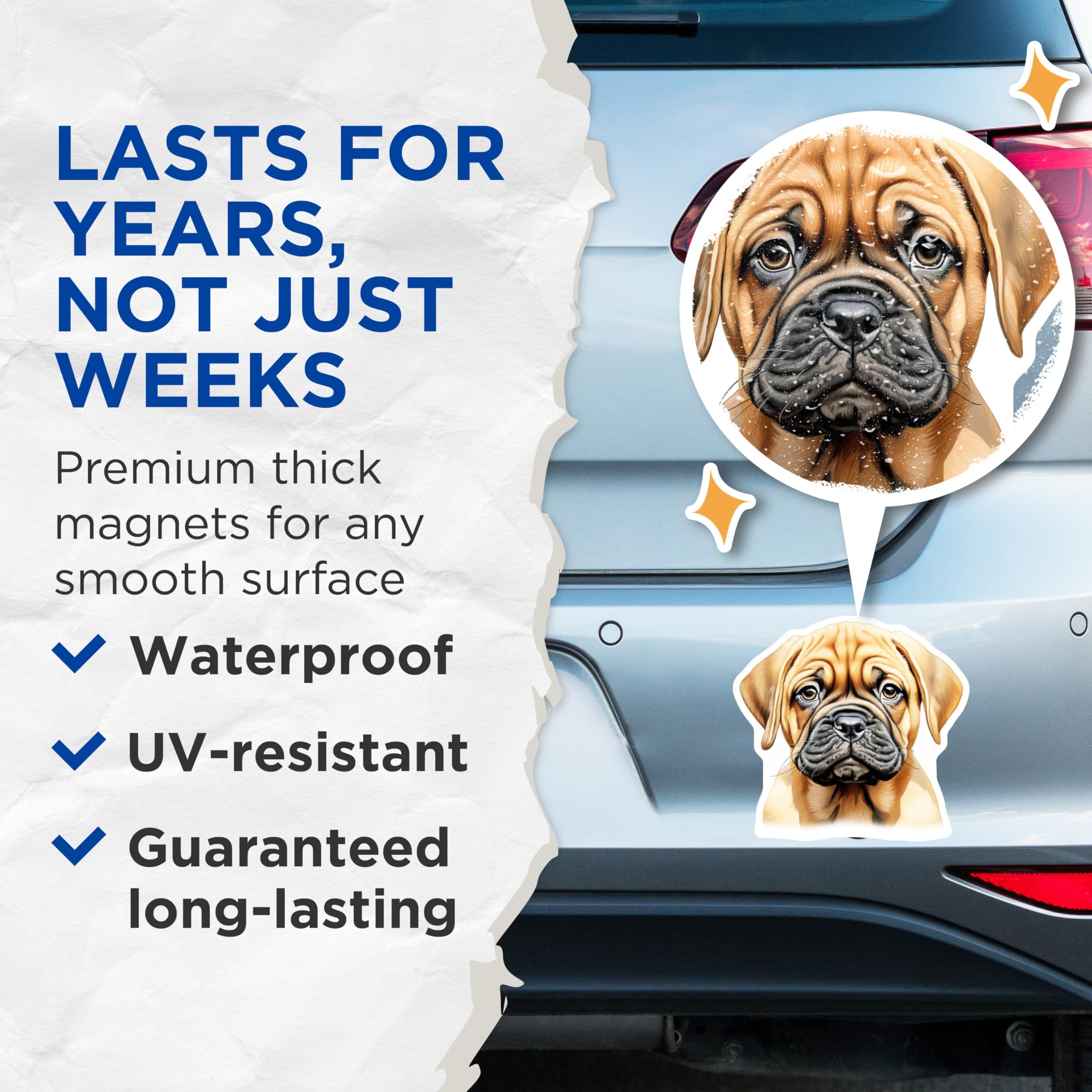 (2 Pack) Bullmastiff Puppy Magnets - Cute Dog Decor - Pet Lover Accessory - Fridge Locker Magnet - 5 Inches On Longest Side - Thick Durable Magnet - Made in USA - MAG24896