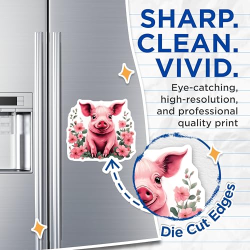 (2 Pack) Cute Pig Magnets - Adorable Animal Magnets - Farmhouse Kitchen Decor Magnets - 5" On Longest Side - for Cars, Refrigerators, Toolboxes, Lockers - Made in USA BMCS3411