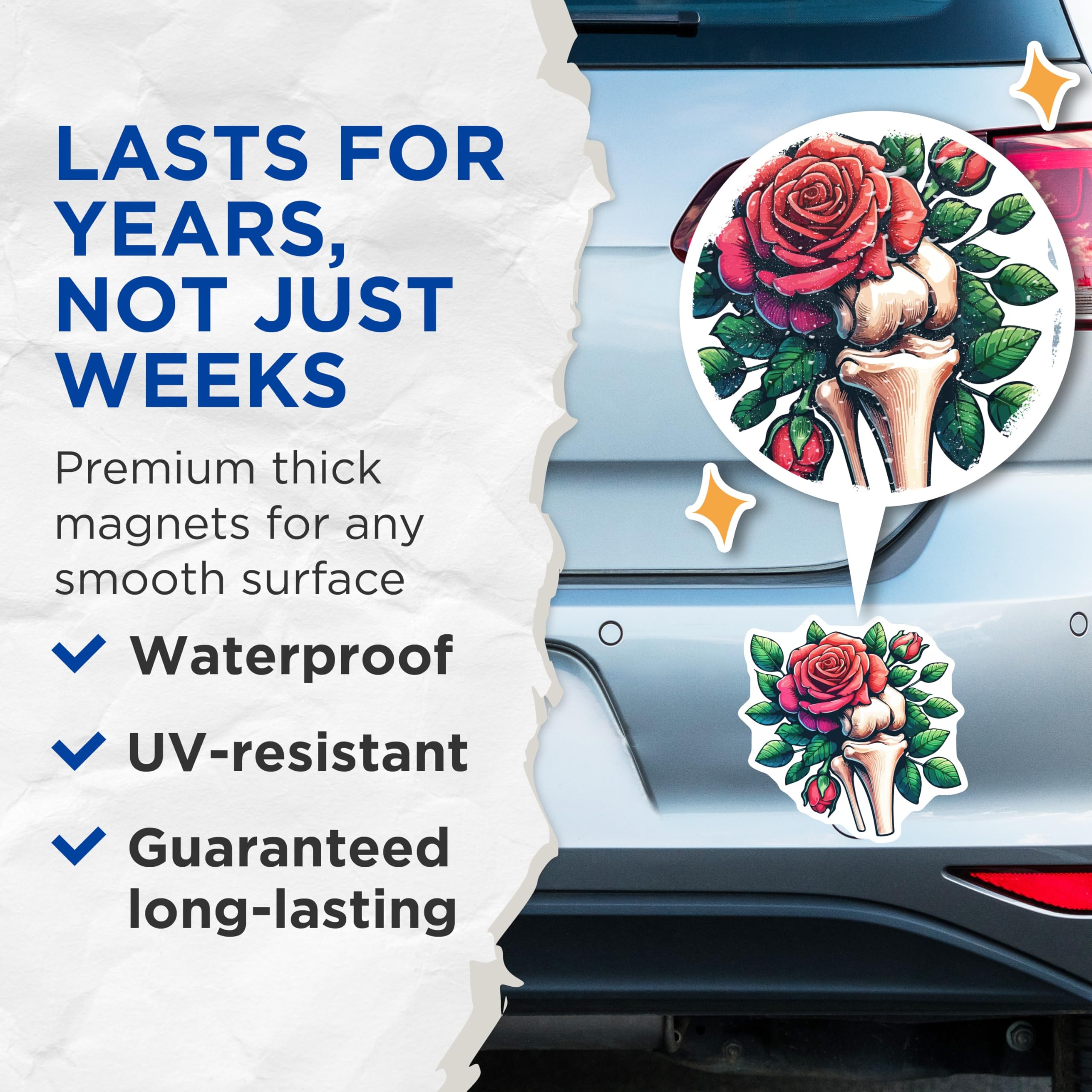 (2 Pack) Red Rose Bone Magnets - Gothic Floral Anatomy Decor - Macabre Skeleton Flower Art - Medical Botanical Display - 5 Inches On Longest Side - Thick Durable Magnet - Made in USA - MAG19582