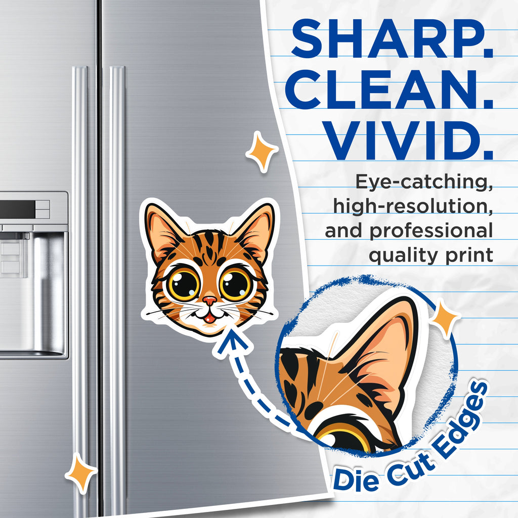 (2 Pack) Cute Cat Face Magnets - Tabby Kitty Fridge Decor - Animal Lover Locker Accessory - Kawaii Cat Art - 5 Inches On Longest Side - Thick Durable Magnet - Made in USA - MAG38706