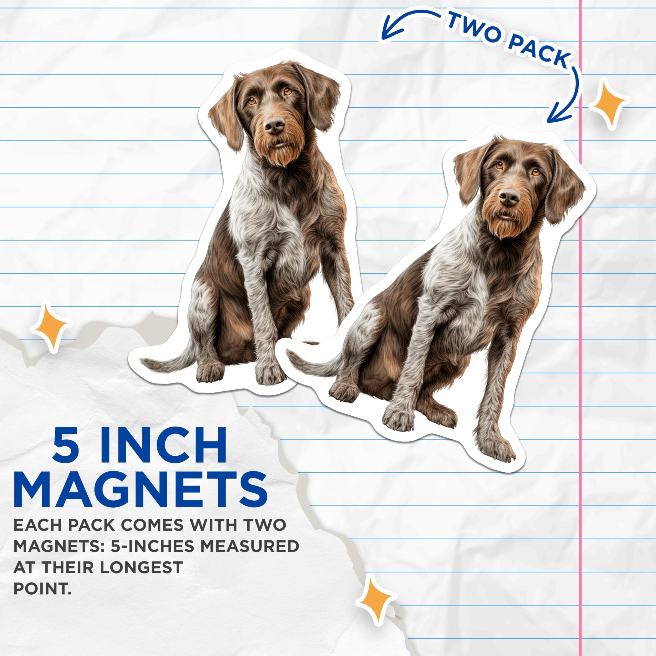 (2 Pack) German Wirehaired Pointer Magnets - Dog Breed Art - Animal Lover Home Decor - 5 Inches On Longest Side - Thick Durable Magnet - Made in USA - MAG24510