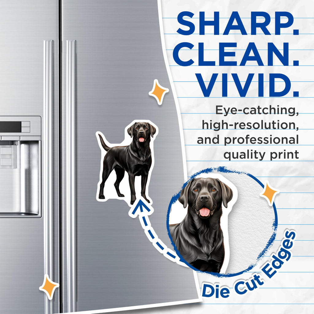 (2 Pack) Black Labrador Retriever Magnets - Pet Lover Decor - Dog Breed Art - Canine Kitchen Fridge Magnet - 5 Inches On Longest Side - Thick Durable Magnet - Made in USA - MAG24362