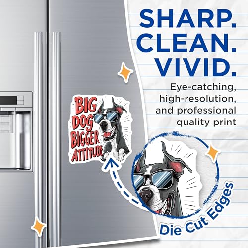 (2 Pack) Dog Lover Magnets Magnets - Big Dog Bigger Attitude - Funny Pet Decor - 5" On Longest Side - Made in USA - Sticks to Refrigerators & Metal Surfaces - MAG8537