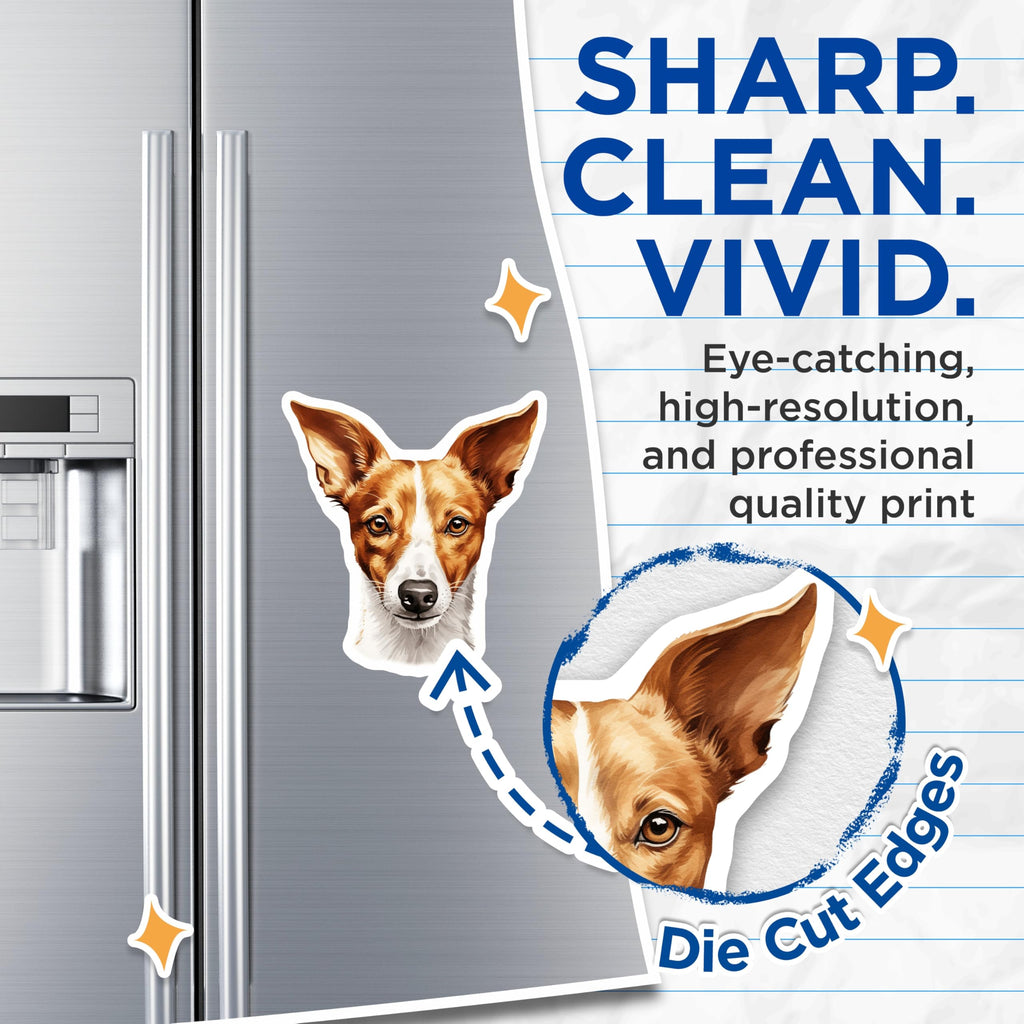 (2 Pack) Jack Russell Terrier Magnets - Dog Lover Decor - Pet Fridge Magnets - 5 Inches On Longest Side - Thick Durable Magnet - Made in USA - MAG26405