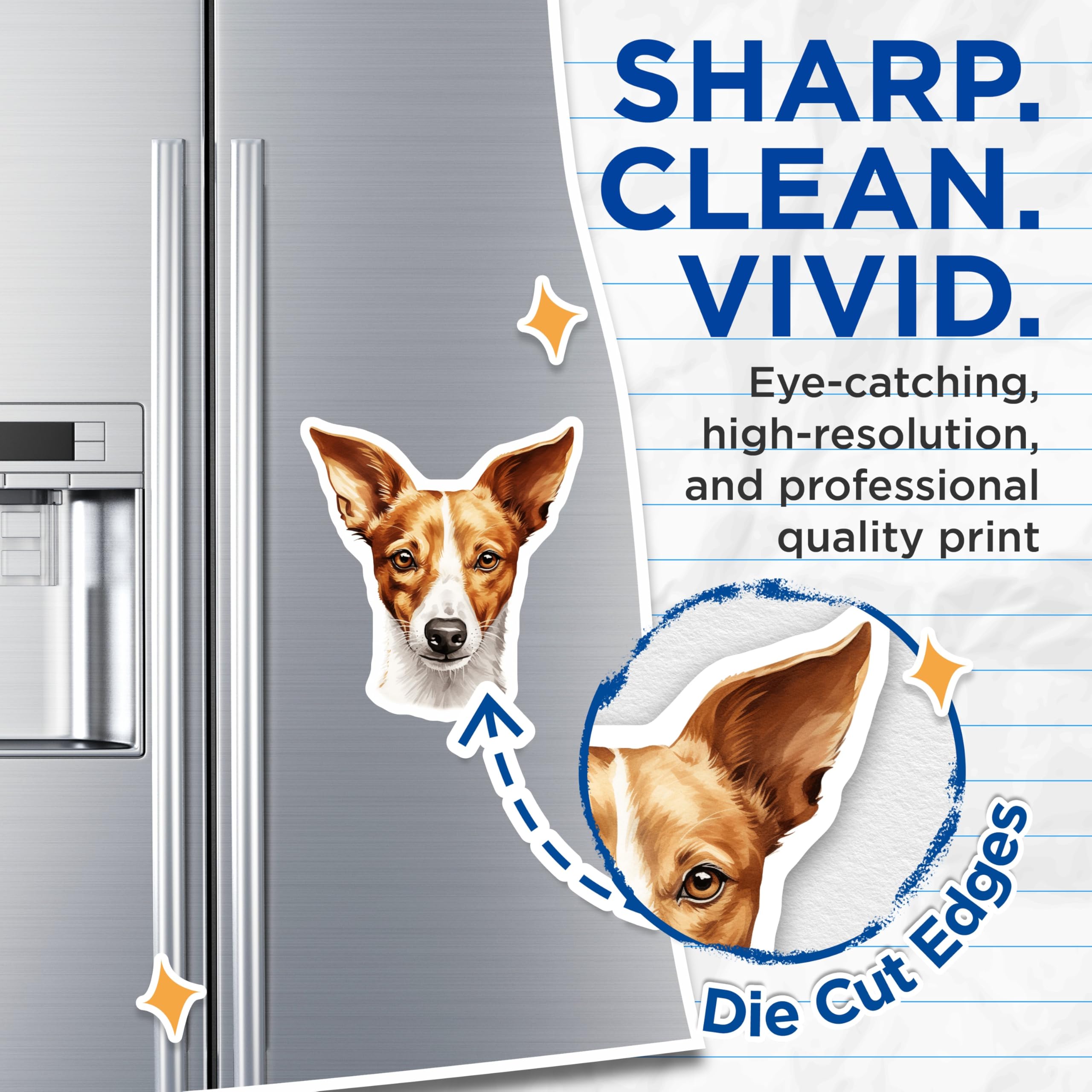 (2 Pack) Jack Russell Terrier Magnets - Dog Lover Decor - Pet Fridge Magnets - 5 Inches On Longest Side - Thick Durable Magnet - Made in USA - MAG26405
