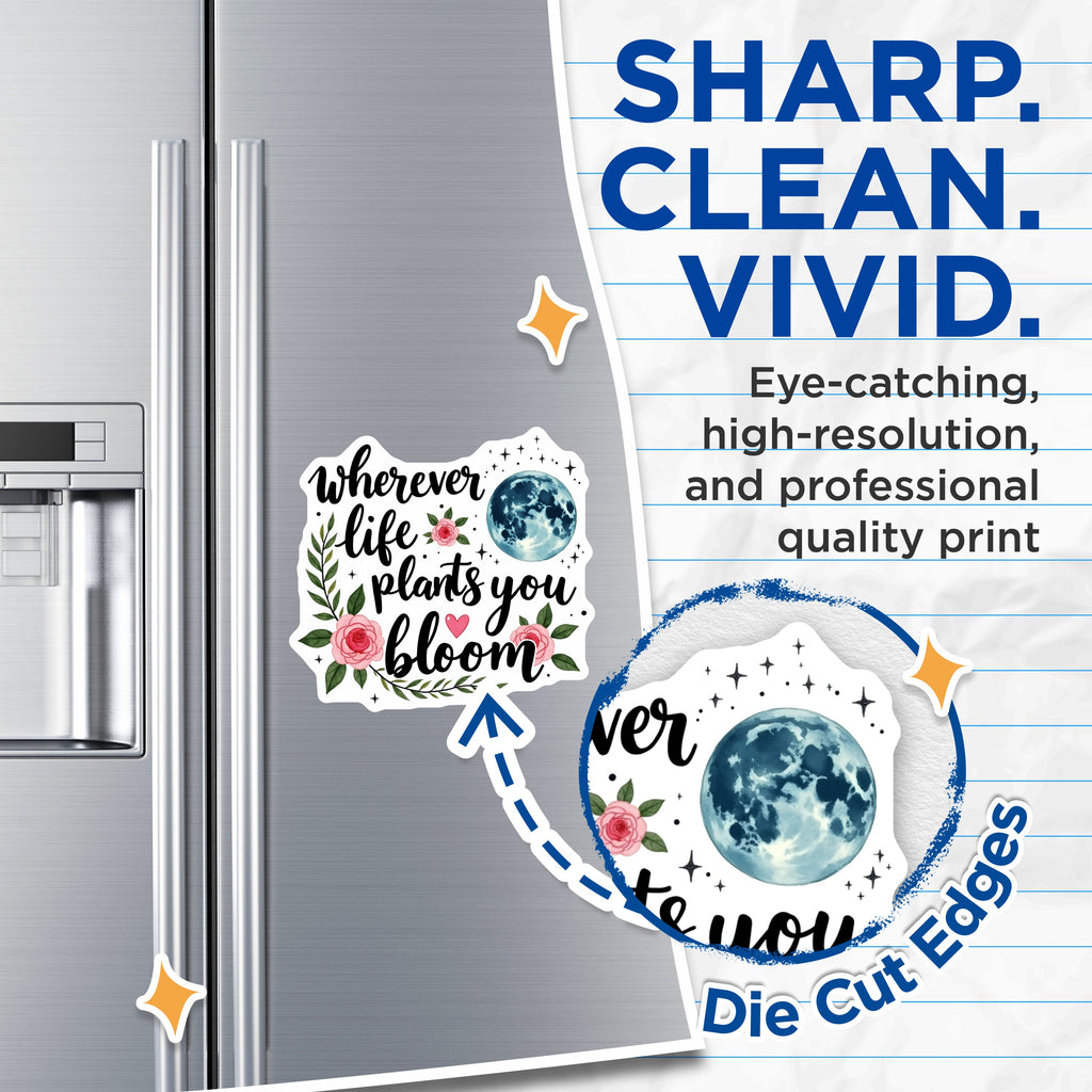 (2 Pack) Bloom Inspirational Magnets - Wherever Life Plants You Quote - Positive Affirmation Moon Floral Refrigerator Magnet - 5 Inches On Longest Side - Thick Durable Magnet - Made in USA - MAG38390