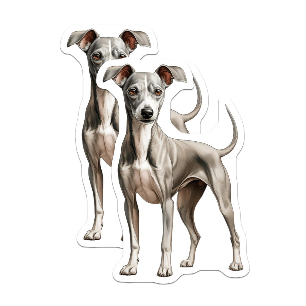 (2 Pack) Italian Greyhound Magnets - Iggy Dog Fridge Decor - Elegant Canine Art - Pet Lover Accessories - 5 Inches On Longest Side - Thick Durable Magnet - Made in USA - MAG27834