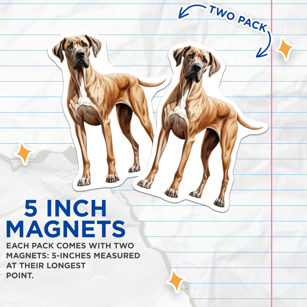 (2 Pack) Great Dane Magnets - Dog Owner Decor - Breed Specific Art Magnets - 5 Inches On Longest Side - Thick Durable Magnet - Made in USA - MAG25459