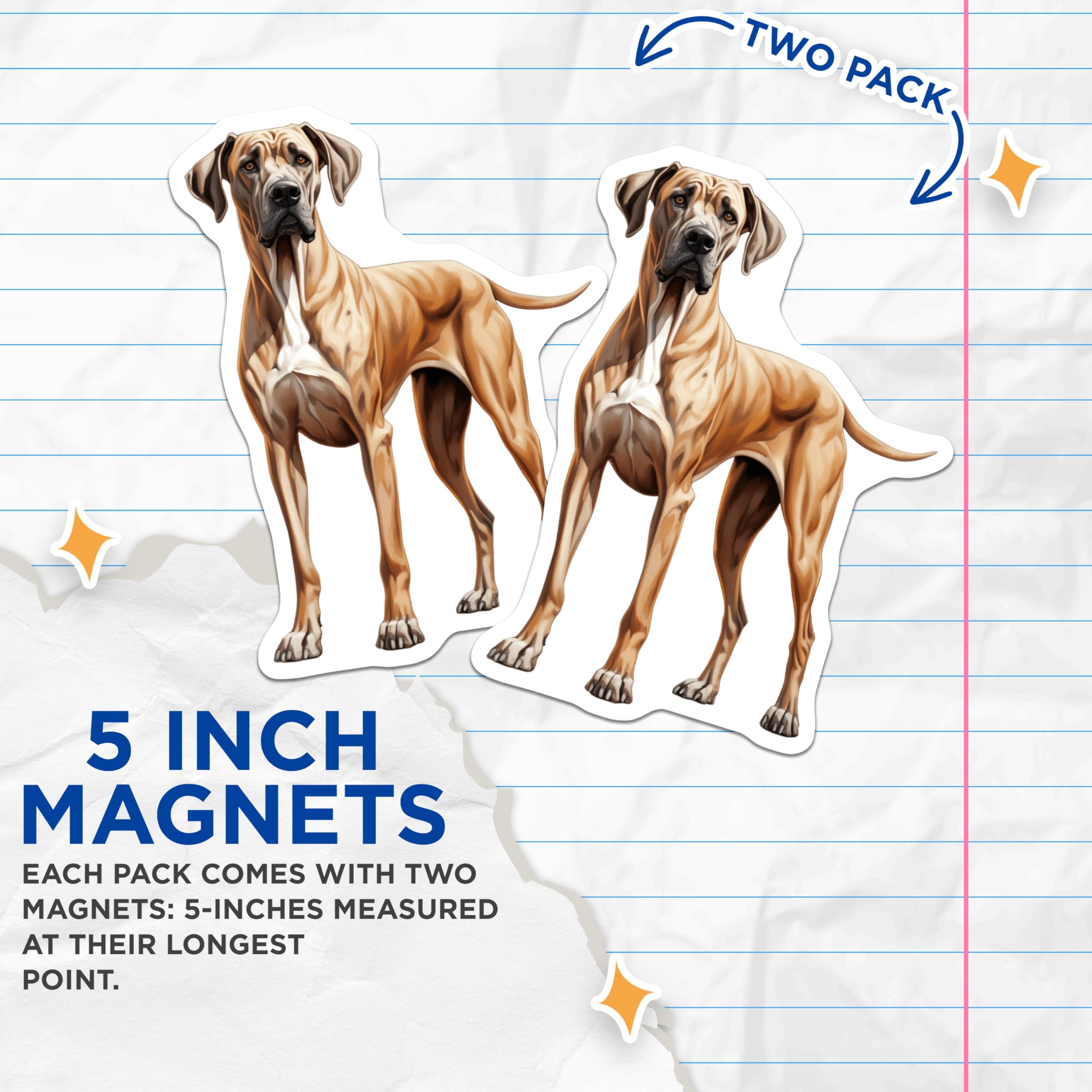 (2 Pack) Great Dane Magnets - Dog Owner Decor - Breed Specific Art Magnets - 5 Inches On Longest Side - Thick Durable Magnet - Made in USA - MAG25459