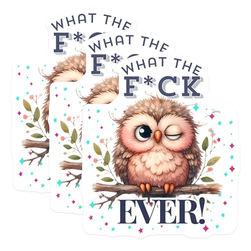 (3 Pack) Owl Decals - Funny Owl Sticker - Laptop Decal- 3 Inches On Longest Side - Easy Peel & Apply - Made in USA - 3MCS5929