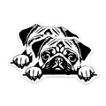 (2 Pack) Cute Pug Dog Magnets - Minimalist Pet Lover Refrigerator Decor - Funny Puppy Art for Pug Owners - 5 Inches On Longest Side - Thick Durable Magnet - Made in USA - MAG37517