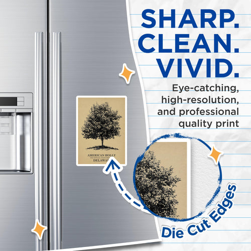 (2 Pack) American Holly Tree Magnets - Delaware State Tree - Nature Botanical Artwork - 5" On Longest Side - Premium Magnet - for Cars, Refrigerators, Toolboxes, Lockers - Made in USA - MAG17311
