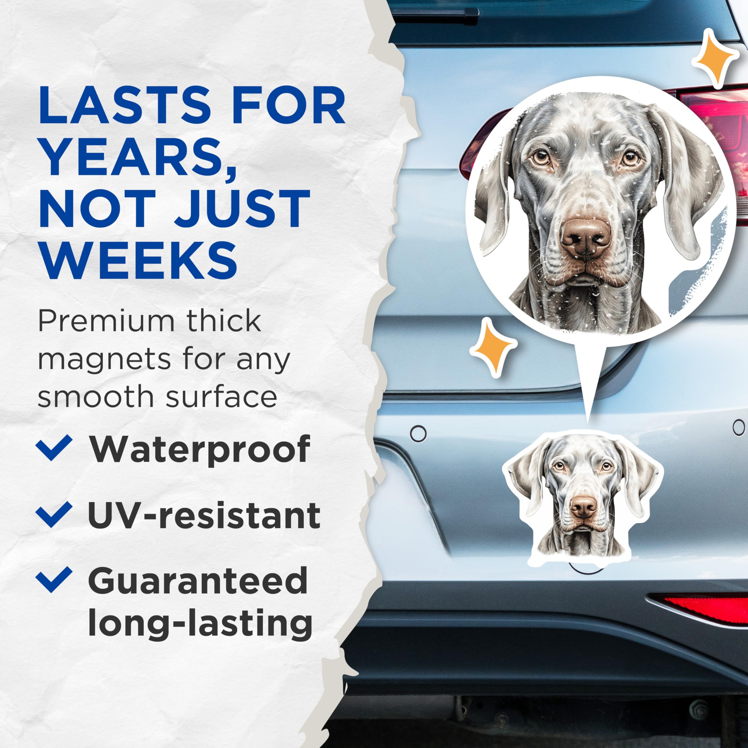 (2 Pack) Weimaraner Dog Magnets - Elegant Canine Portrait Art - Silver Gray Pointer Breed Decor - Animal Lovers Display - 5 Inches On Longest Side - Thick Durable Magnet - Made in USA - MAG24045