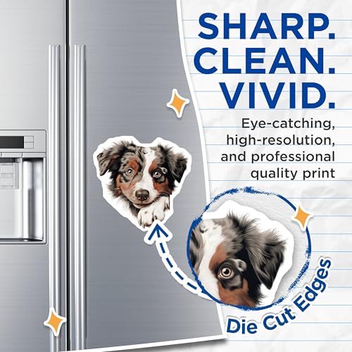 (2 Pack) Pet Lover Decor Magnet - 5" On Longest Side - Sticks to Smooth Flat Surfaces - Made in USA - MAG9838