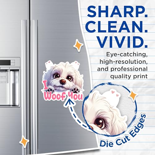 (2 Packs) I Woof You Bichon Frise Magnets - Cute Bichon Frise Dog Breed Magnets - 5 Inches On Longest Side - Premium Magnet - for Fridges, Toolboxes, Cars - Made in USA - MAG2358