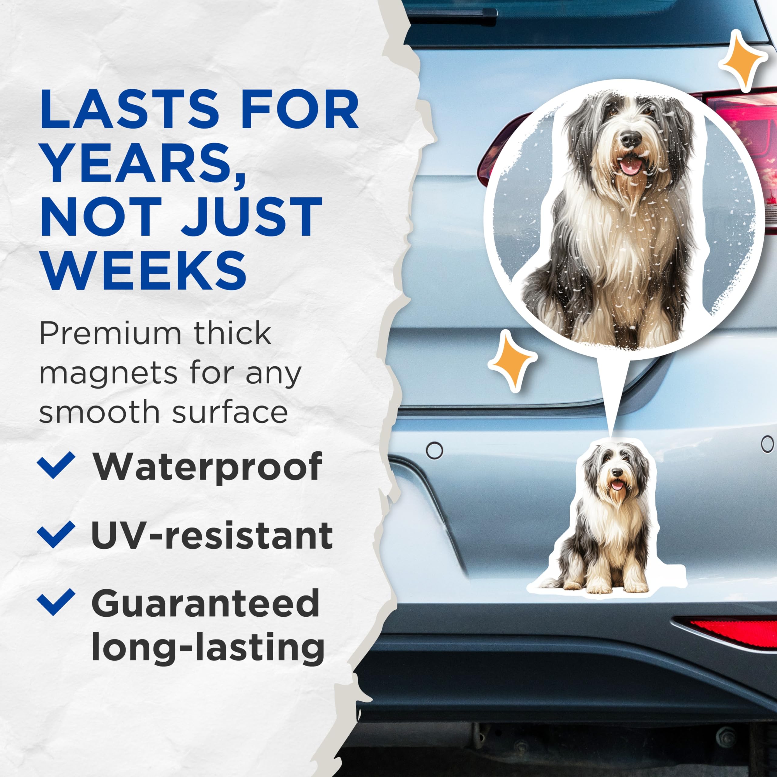 (2 Pack) Bearded Collie Dog Magnets - Shaggy Dog Breed Art - Pet Lover Refrigerator Decor - Cute Animal Fridge - 5 Inches On Longest Side - Thick Durable Magnet - Made in USA - MAG29951