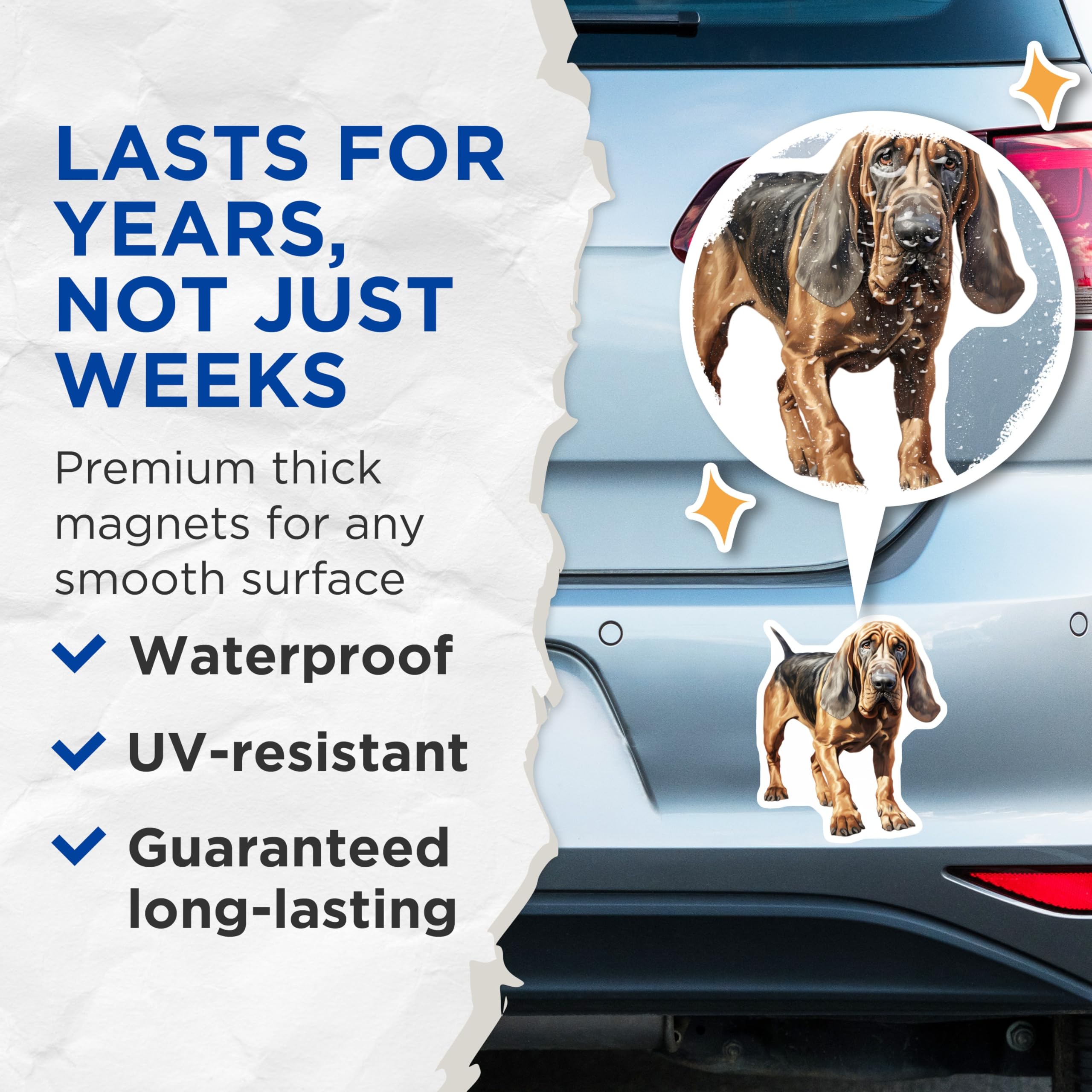 (2 Pack) Bloodhound Dog Magnets - Realistic Hound Dog Decor - Pet Lover Refrigerator Accessory - 5 Inches On Longest Side - Thick Durable Magnet - Made in USA - MAG27264