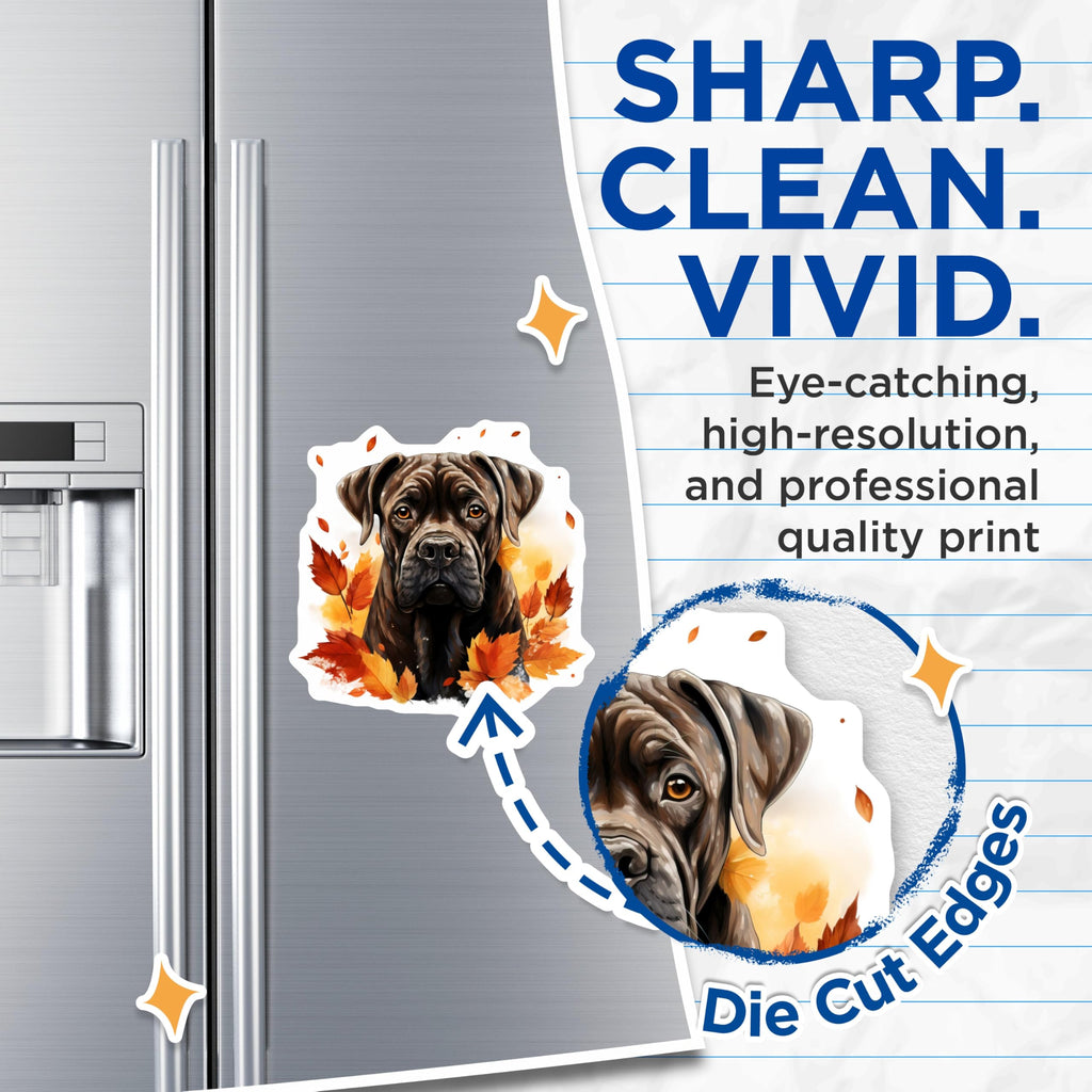 (2 Pack) Cane Corso Magnets - Autumn Dog Decor - Fall Pet Lover Art - Kitchen Refrigerator Accent - 5 Inches On Longest Side - Thick Durable Magnet - Made in USA - MAG28085