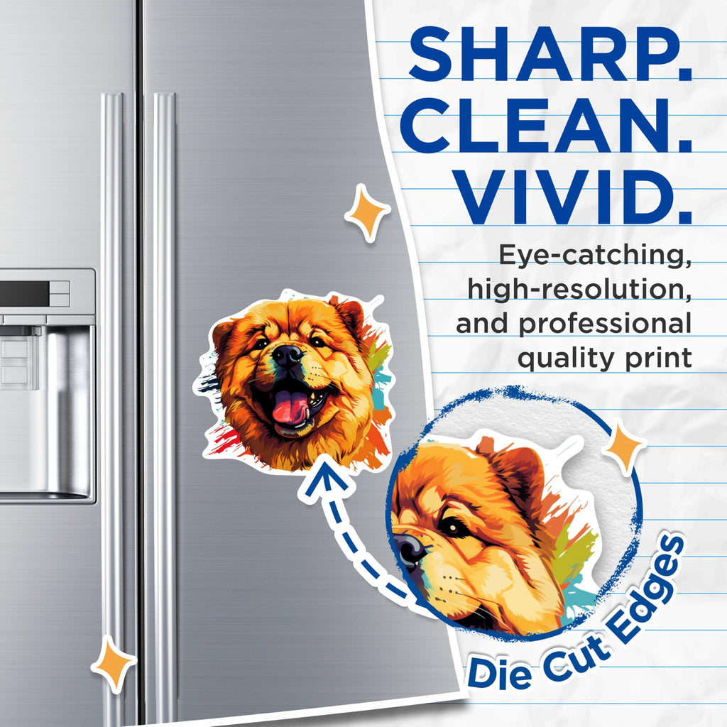 (2 Pack) Chow Chow Dog Breed Magnets - 5 Inches On Longest Side - Choose from Over 100 Dog Breeds - for Cars, Refrigerators, Toolboxes - Made in USA - MAG1828