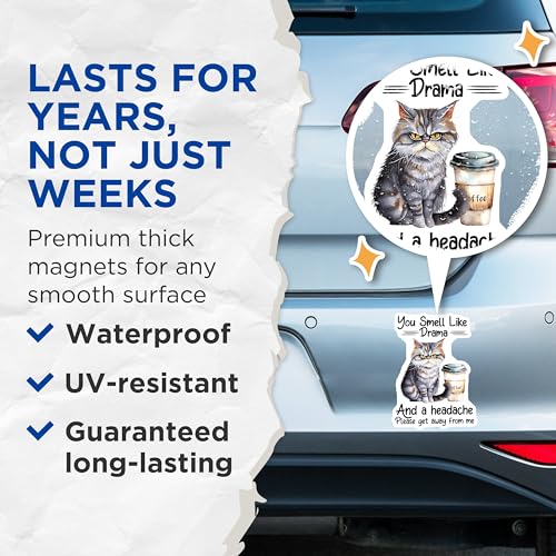 (2 Pack) Cat Meme Magnets - 5" On Longest Side - for Cars, Fridges, Toolboxes - Made in USA - MAG7727