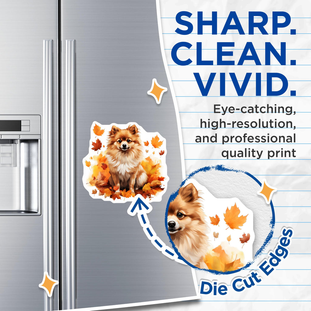 (2 Pack) Cute Pomeranian Dog Magnets - Autumn Fall Pet Lover Decor - Seasonal Refrigerator Locker Accessories - 5 Inches On Longest Side - Thick Durable Magnet - Made in USA - MAG25581